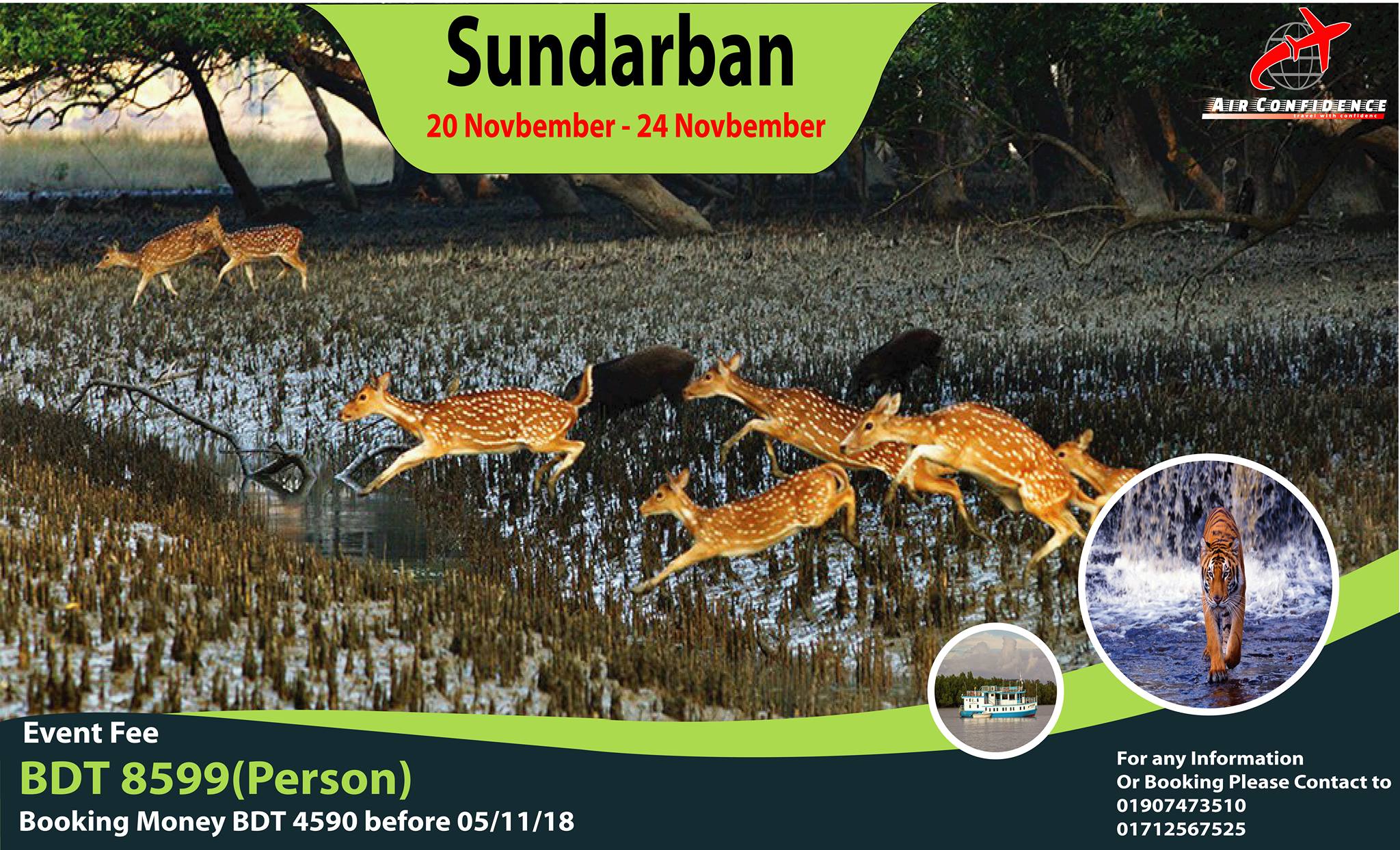 You are currently viewing Explore Sundarban