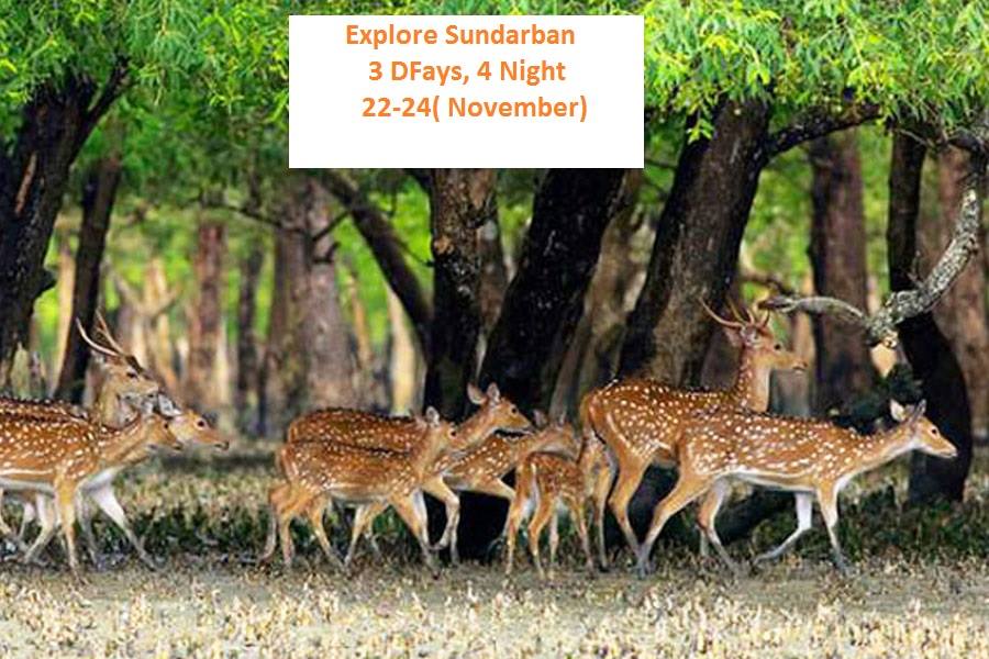 You are currently viewing Explore Sundarban